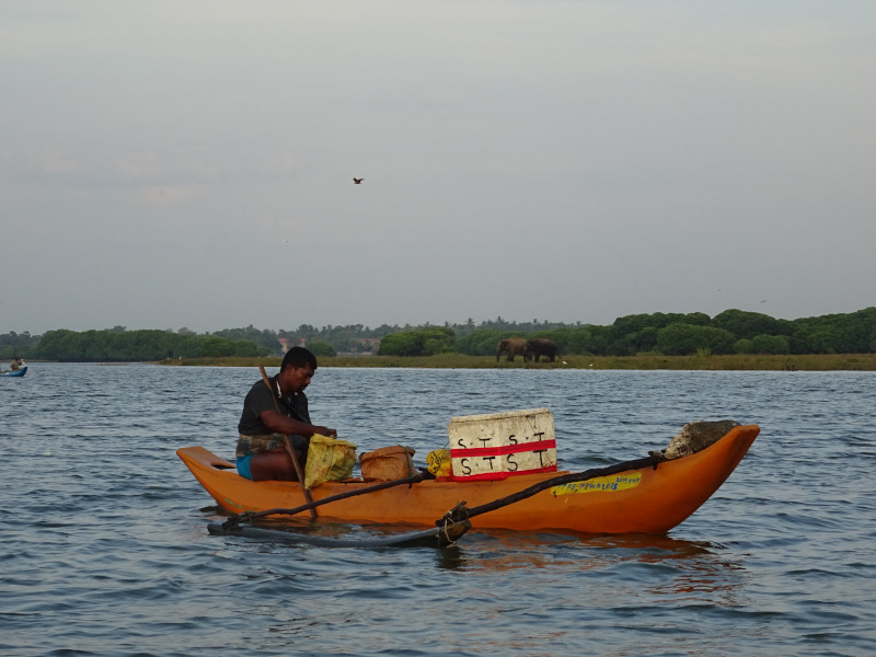 Pêcheur sur le lagon de Pottuvil au Sri Lanka