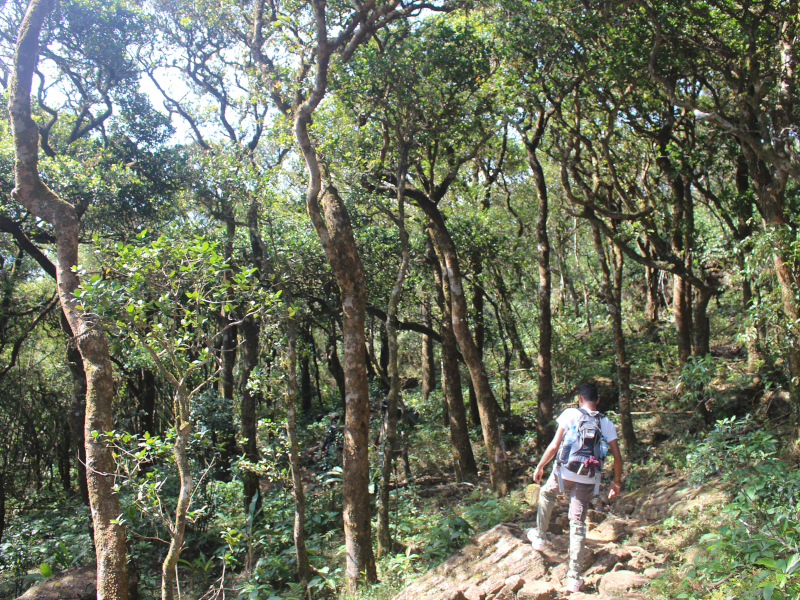 Trek randonnée dans le massif des Knuckles au Sri Lanka