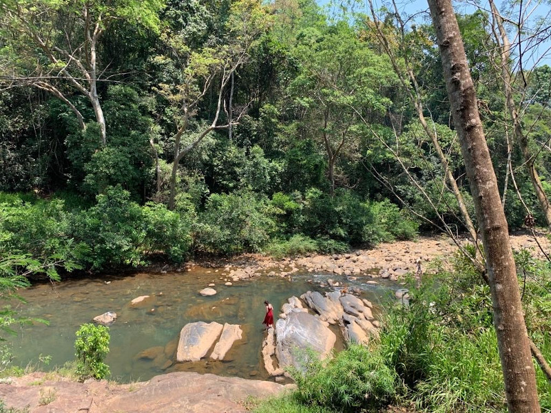 Rivière longeant un centre ayurvédique au Sri Lanka